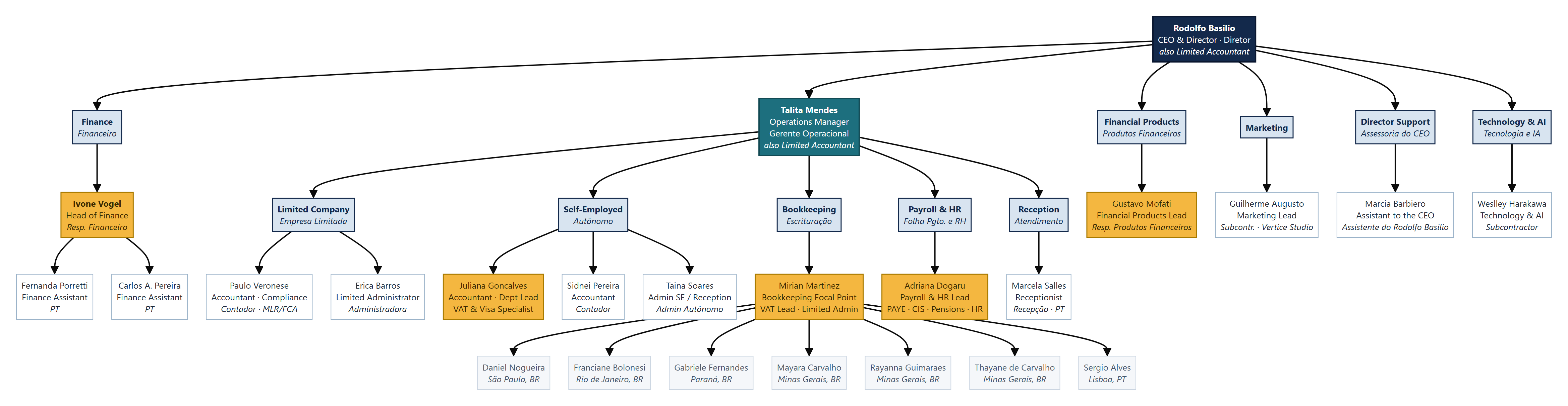 Organograma Vertice Services